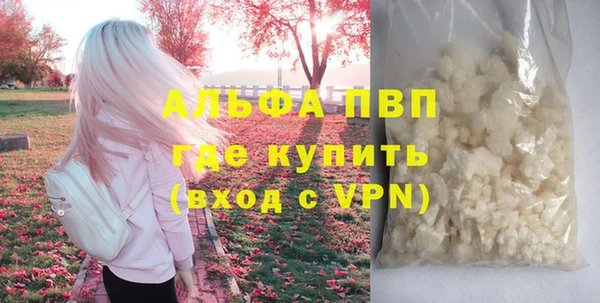 прущие грибы Струнино